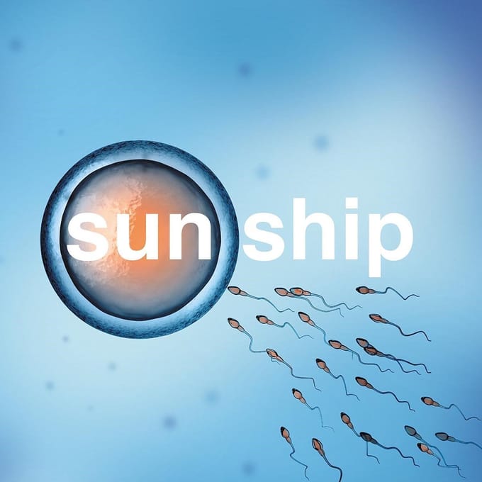 Sun Ship-10" - Brian Jonestown Massacre