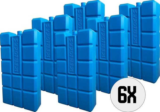 DULA Koelelementen voor koelbox - blauw - 6 stuks - 750 gram - 20x10,5x4cm