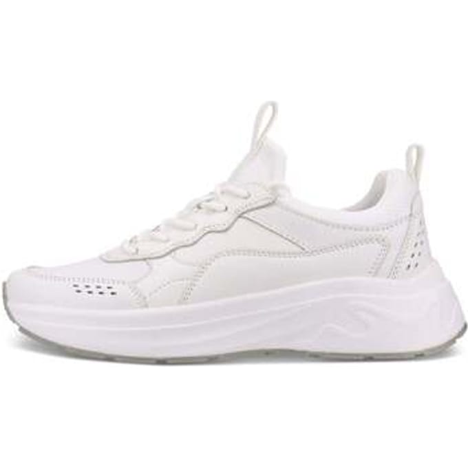 Lage Sneakers Salamander -