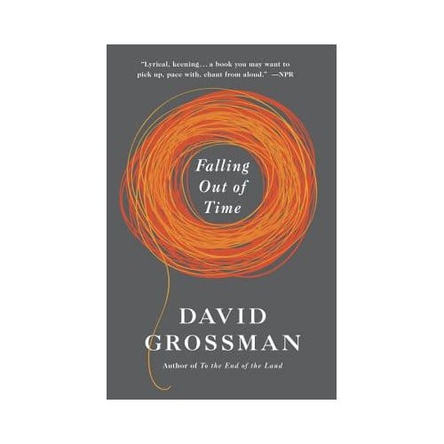 Falling Out Of Time - David Grossman