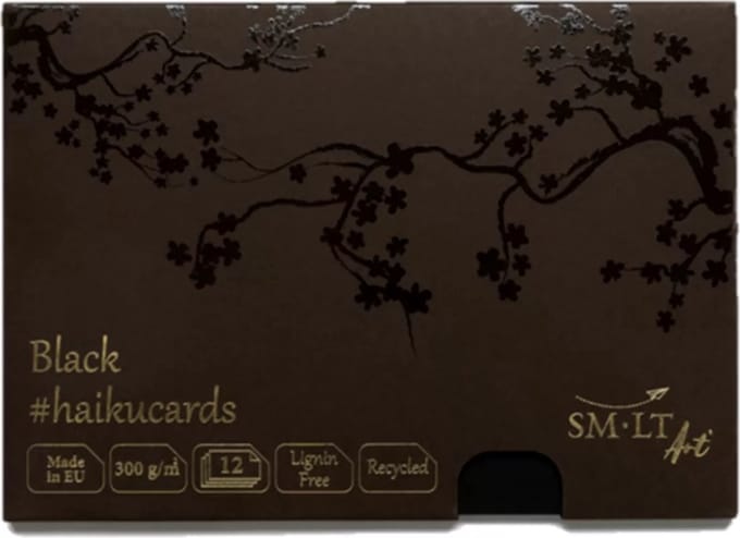 SMLT schilderpapier Haiku kaarten A5 zwart 300gr 12 vellen.