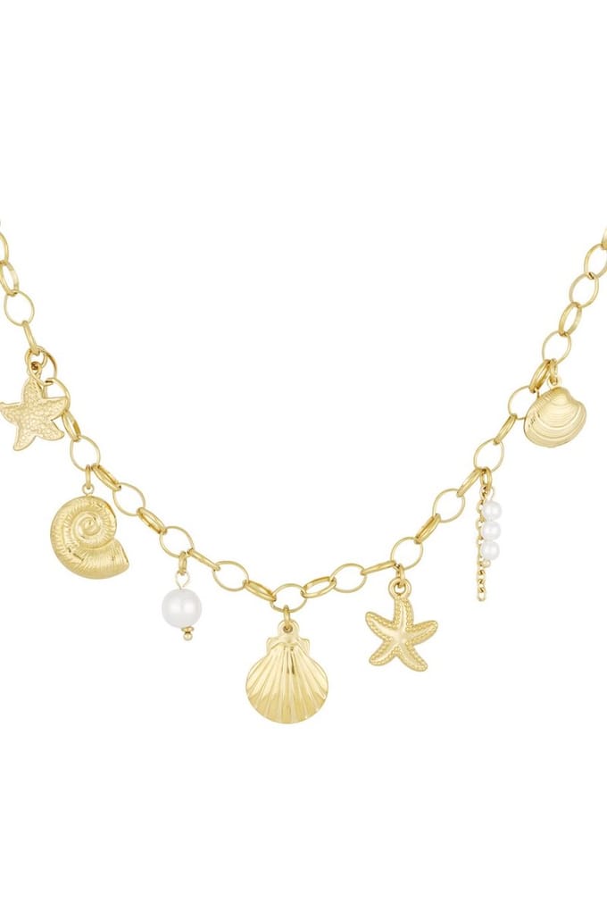 Bedel ketting Schelpen- zeester- goudkleur