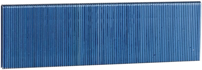 Bosch Accessories 2608200705 Nieten met smalle rug 5000 stuk(s) Afm. (l x b) 38 mm x 5.8 mm