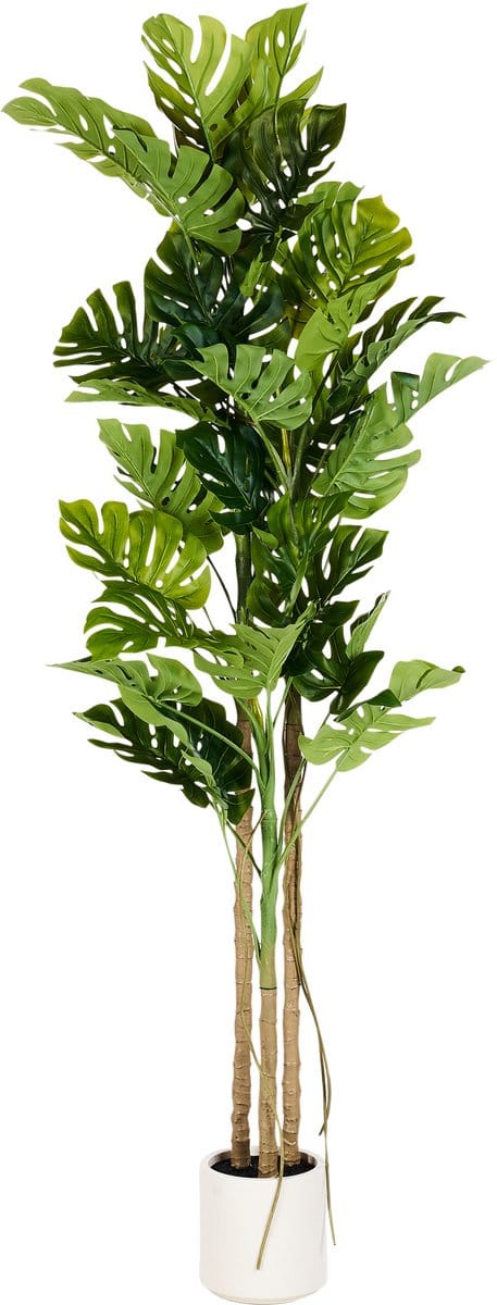 MONSTERA PLANT - Kunstplant - Groen - 221 cm - Synthetisch