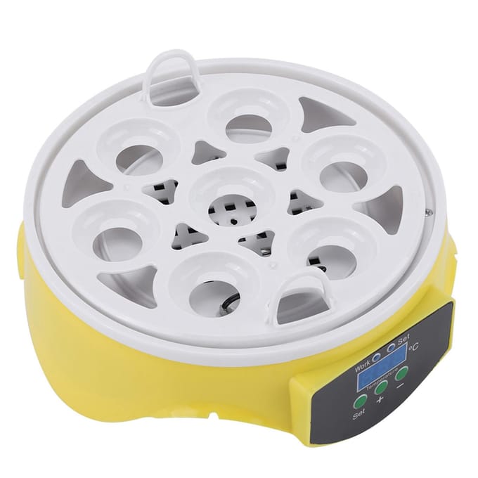 Incubateur numérique transparent pour poulet, canard, oiseau, 7 œufs, éclosoir, ménager white