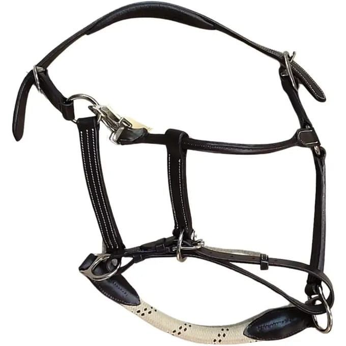 Lederen paardenhalster met touw Canter