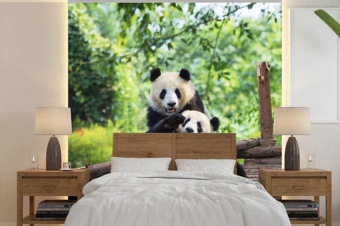 Behang - Fotobehang Beren - Panda - Hout - Breedte 220 cm x hoogte 220 cm