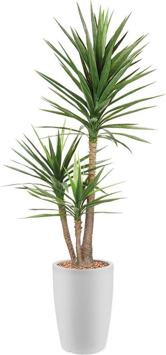 Kunstplant Yucca in Genesis rond H200 cm