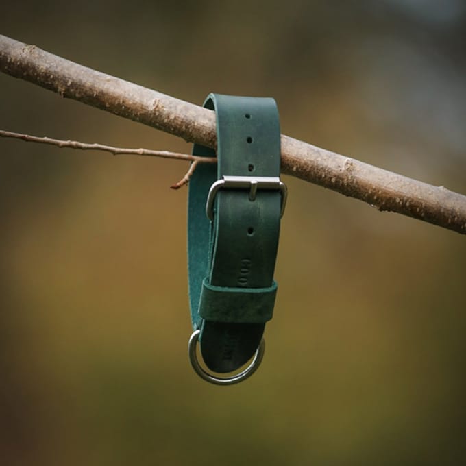 Cooper & Quint Bold Brede Leren Halsband - Groen - Medium - 3 cm - Zilver
