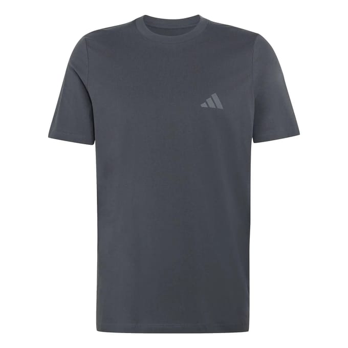 Adidas Terrex Terrex Mountain Graphic T-Shirt - Heren - Grijs