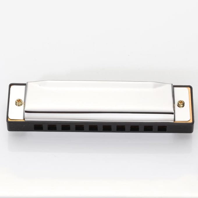 Bluesmondharmonica 10 gaten voor beginners white