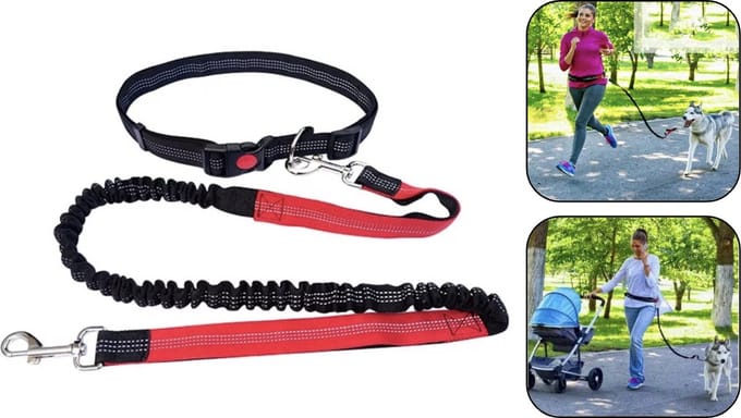 PD® - Hondenriem - Hondenriem 2 meter - Handsfree - Riem + Tailleband