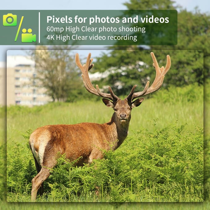 4G Trailcamera 4K Jachtcamera met SIM-kaart 60MP Foto's Snelle Trigger Wildcamera Infrarood groen