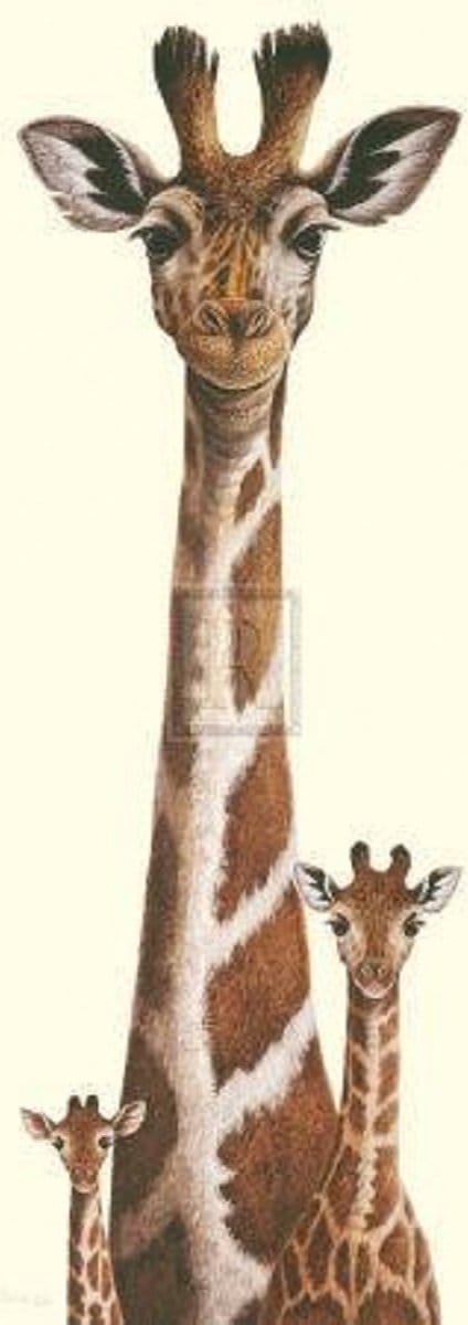 poster Images Warwick Higgs - Highs and Lows 30 x 70 cm