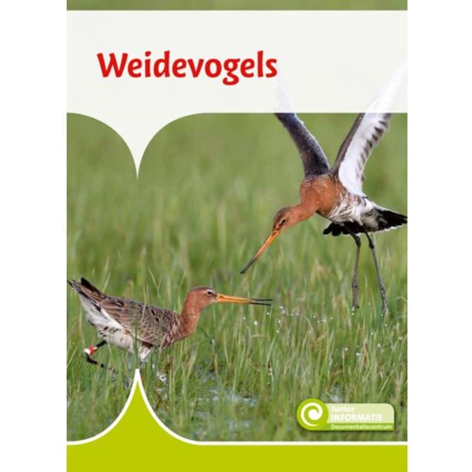 Weidevogels - Junior Informatie - Geert-Jan Roebers