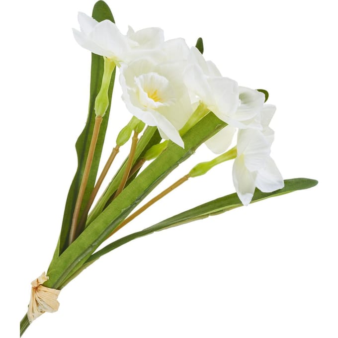 Bosje narcissen