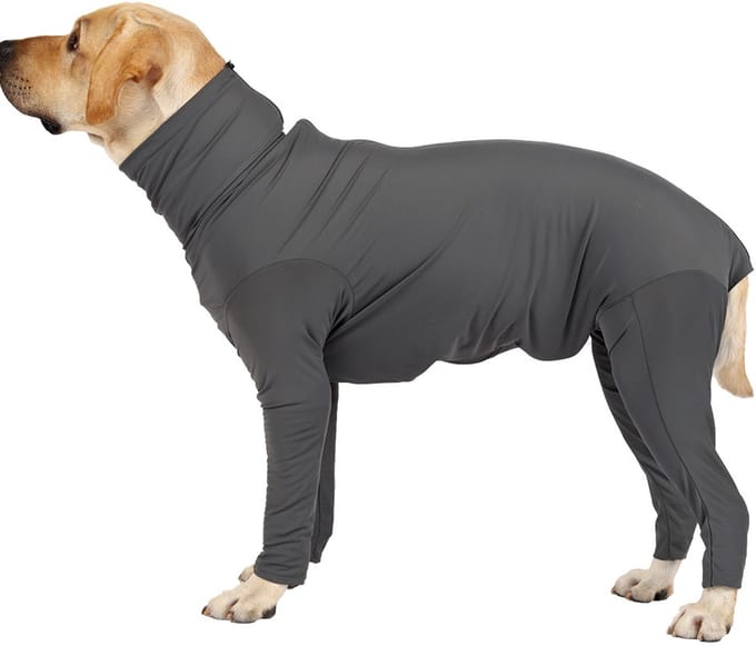 Jumpsuit voor honden - Verstelbaar ontwerp XXL