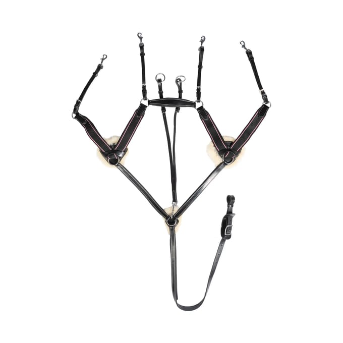Vijfpunts halsband voor paard HKM