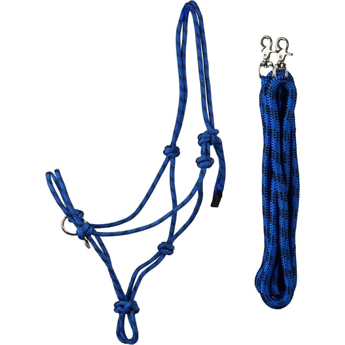 Halsband en longe voor wedstrijdpaard HORKA