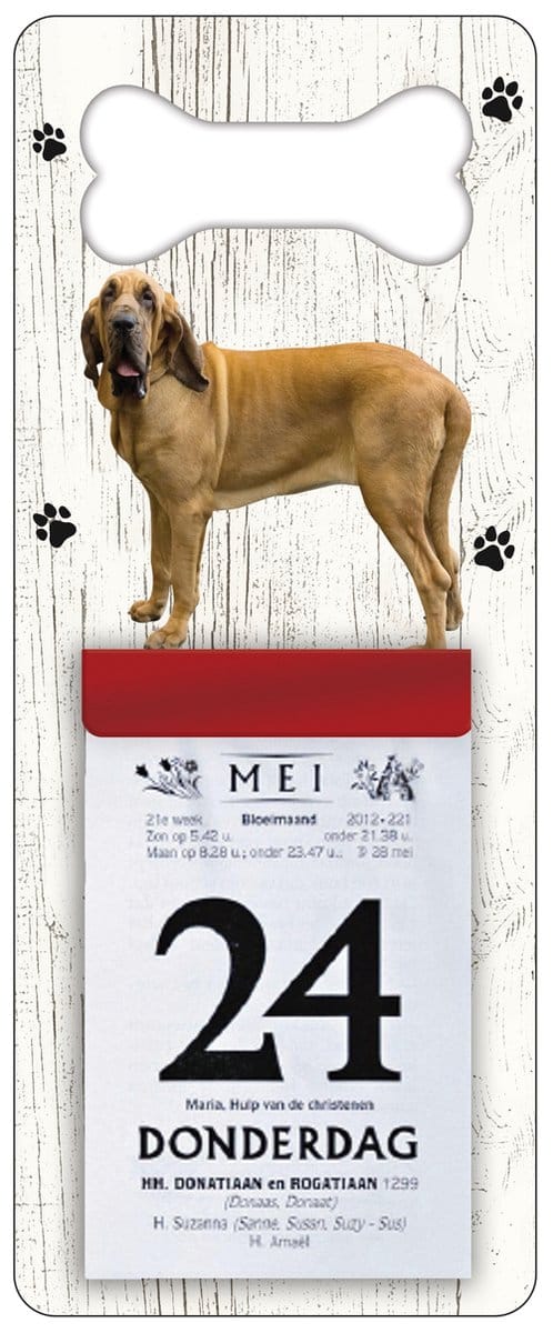 Scheurkalender 2027 Hond: Bloedhond