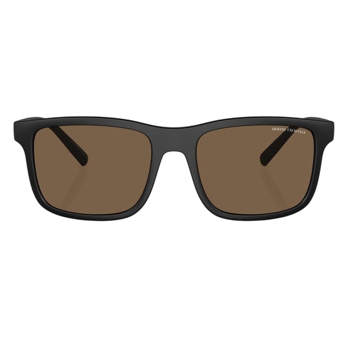 Armani Exchange Effen zonnebril (Bruin/zwart)