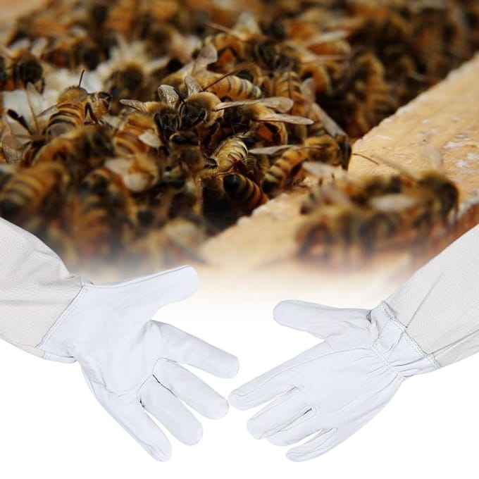 Gants de protection apiculture en peau de chèvre avec manches longues ventilées Outils apicoles white