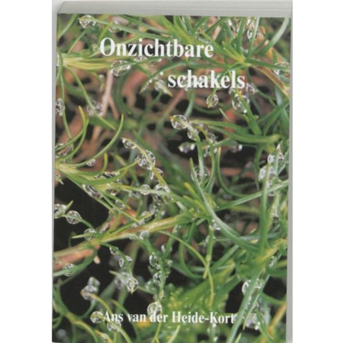 Onzichtbare Schakels - A. van der Heide-Kort