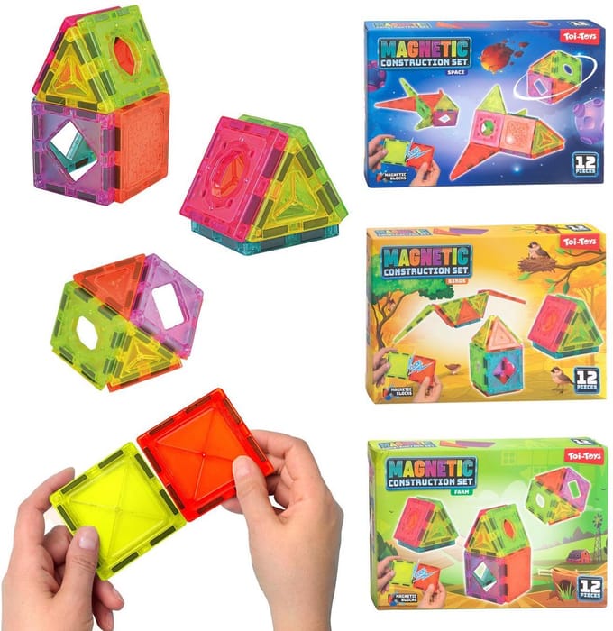 Toi-Toys Bouwset magneetpanelen 12-delig
