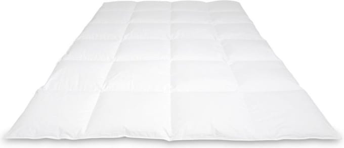Cassenz REMBRANDT | donzen dekbed | 100% ganzendons | Winter - warmteklasse 2 - 140/220cm - 530gr.