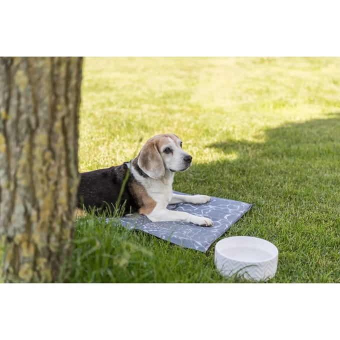 Trixie Ceramic Bowl dog 0.9 l/ø 16 cm white