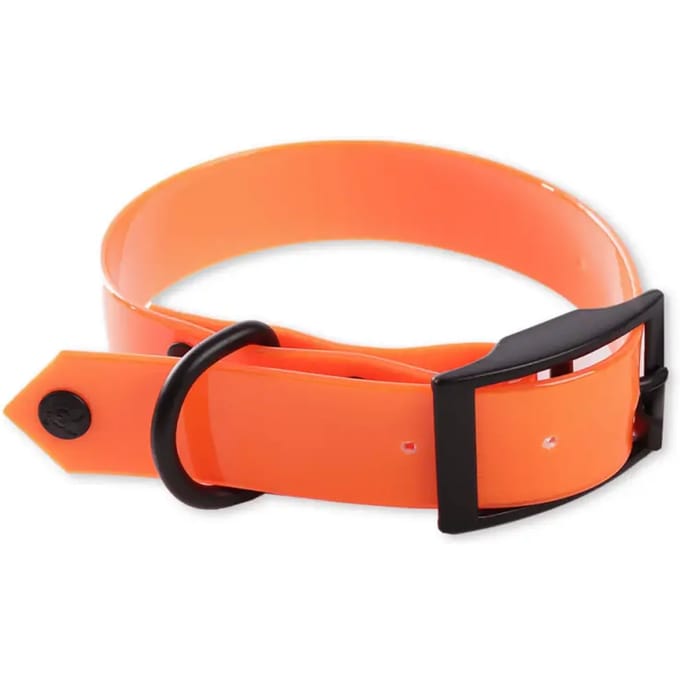 Fluo hondhalsband jacht Martin Sellier