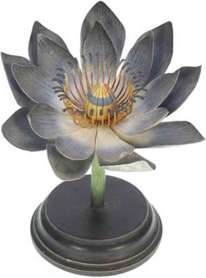 Botanische Bloem Waterlely, blauw Ø22xh18cm