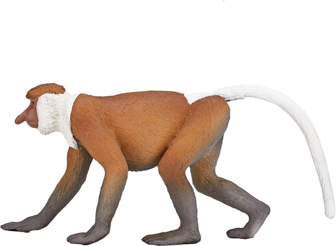 Mojo - Wildlife Proboscis Monkey