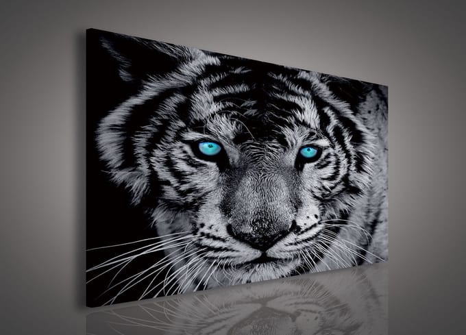 Canvas Schilderij - Tijger - Leeuw - Dieren - Kat - Wild - Roofdier - Grijs - 100x75cm LxB