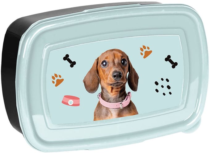 Paso Lunchbox Teckel voor Meisjes - School & Uitjes
