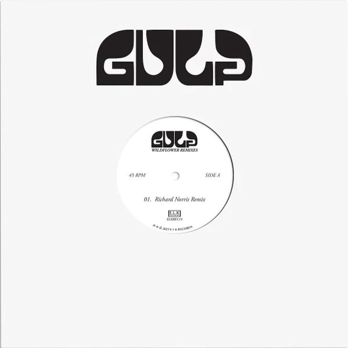 Gulp - Wildflower (Remixes) (12" Single)