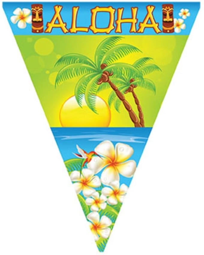 2 stuks Vlaggenlijn Hawaii , 10 meter, Zomer, Feest