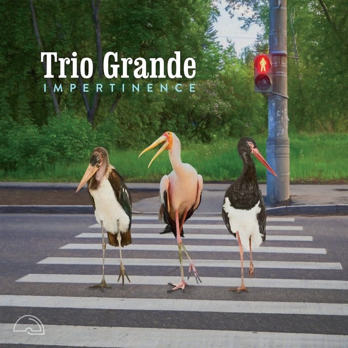 Trio Grande - Impertinence (CD)