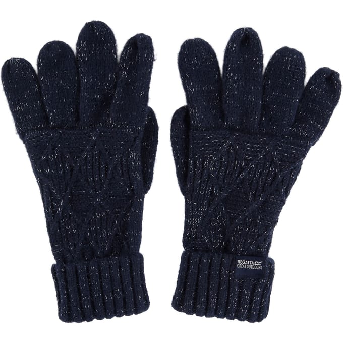 Regatta Dames/dames Winterhandschoenen (Marine)