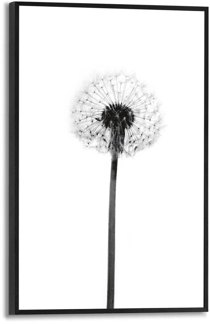 Schilderij Paardenbloem - 20x30 Cm - Zwart-wit - Hout