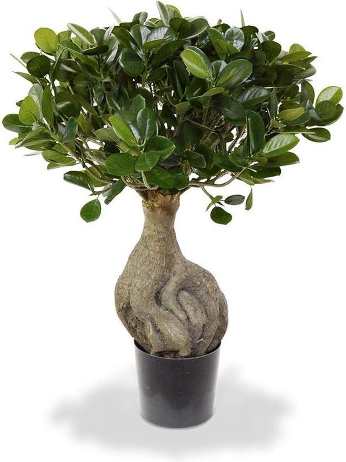 Panda Bonsai kunstboom 55cm
