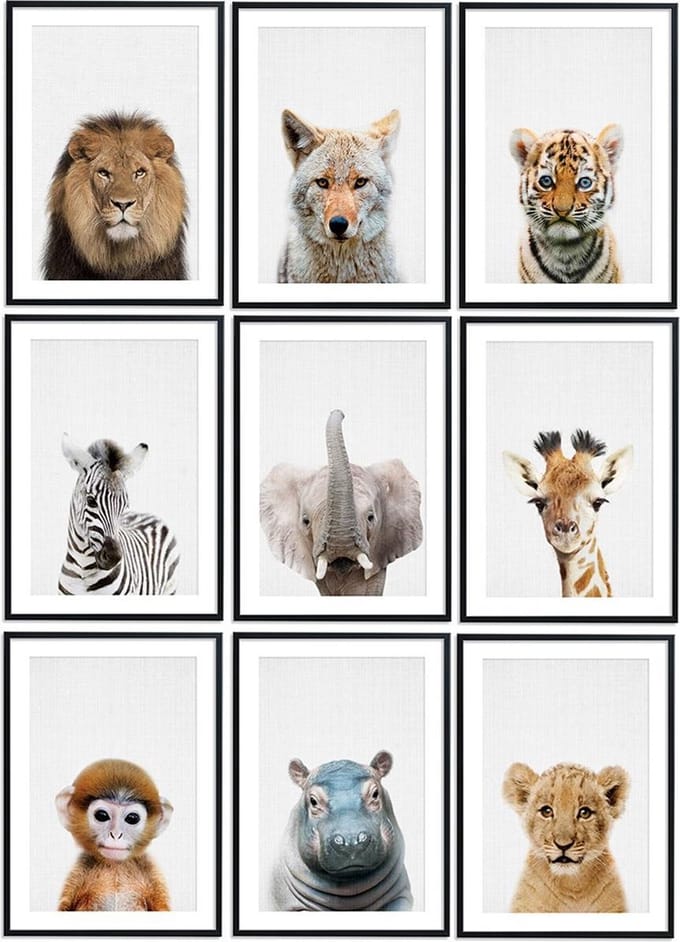 No Filter Poster - Baby Safari Dieren - 9 Posters - 20x30cm