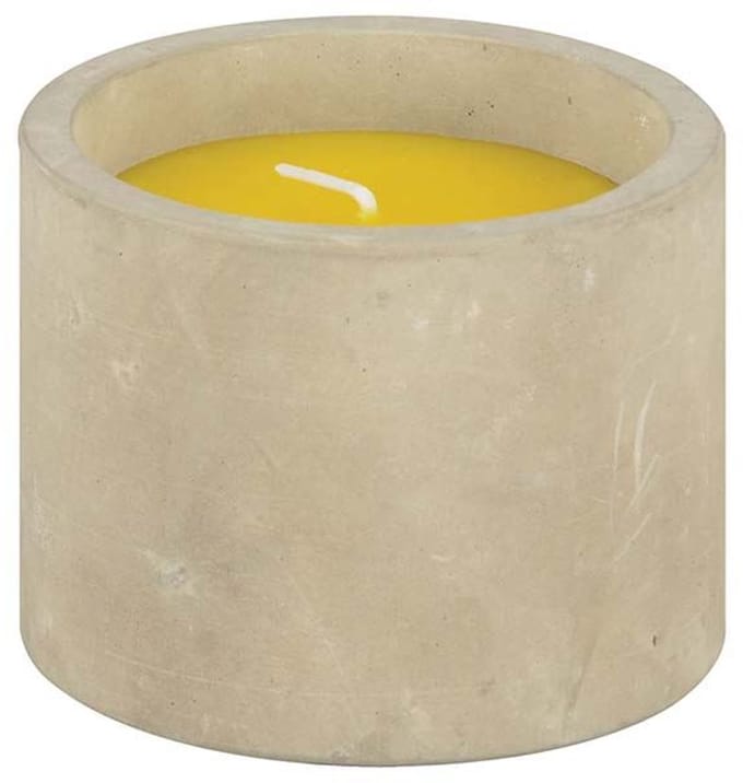 Esschert Design citronellakaars in stenen houder