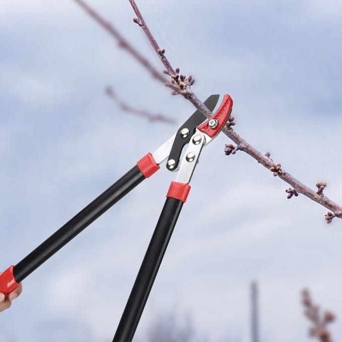 Tuinieren Snoeien van bomen Snoeischaar Snoeischaar Takkensnijder Schaar Snijgereedschap black