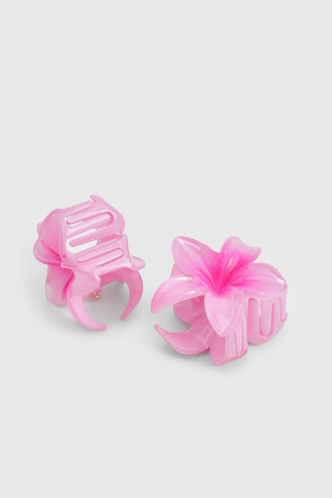 boohoo Dames Small Flower Hair Clips 2 Pack | Baby Roze