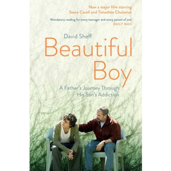 Beautiful Boy - Sheff, David