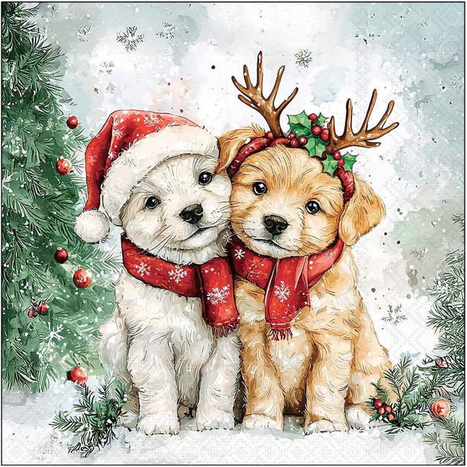 Lunch Servetten Cody and Buddy - Ambiente - 33x33 cm