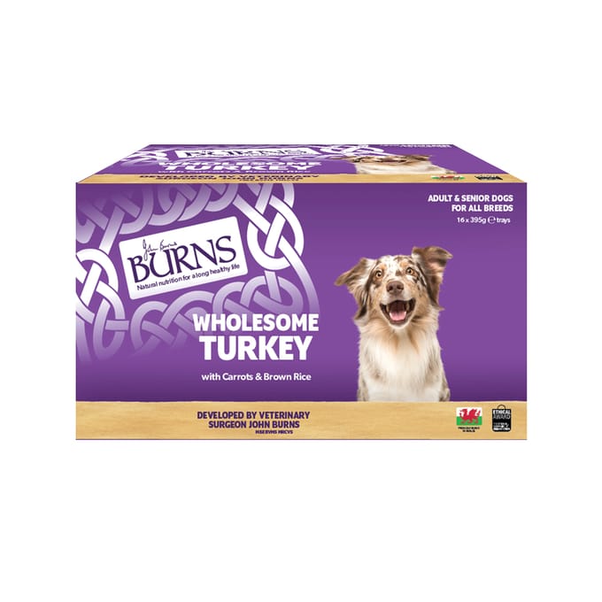 Burns natvoer voor honden 16 x 395 g - Kalkoen