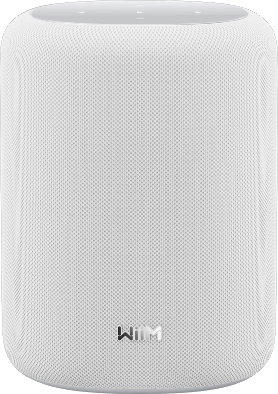 WiiM Sound LITE Draadloze stereoluidspreker Wit 100 W