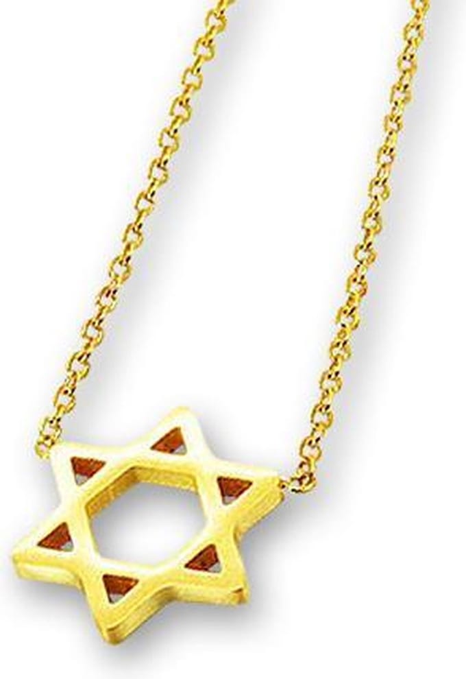 Amanto Ketting Eelke - 316L Staal - Davidster - ∅12mm - 50cm